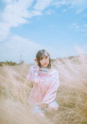 烂漫海棠红